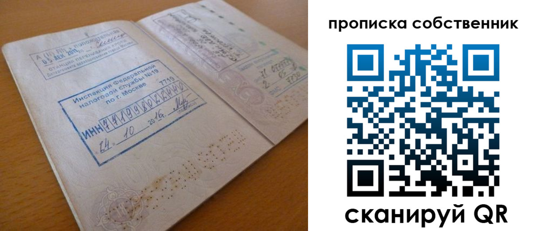 прописка для школы в Плавске