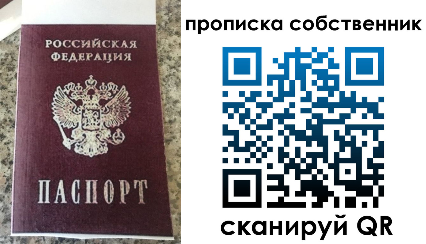 прописка для школы в Плавске